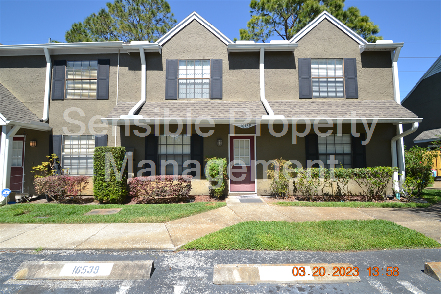 16539 Lake Brigadoon Cir, Tampa, FL 33618